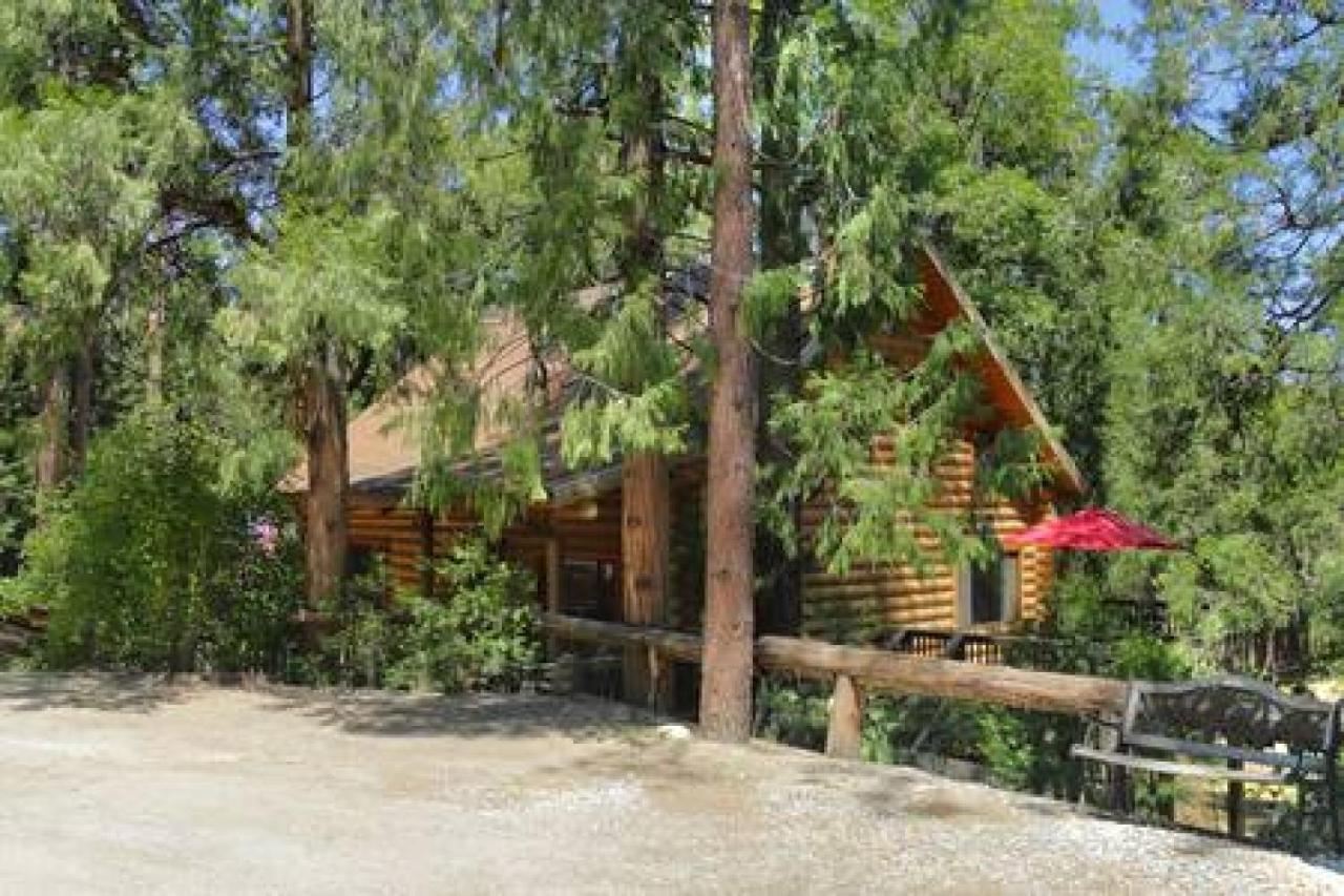 Eagles Nest - Natural Log Cabin With Guest House آيديلوايل المظهر الخارجي الصورة