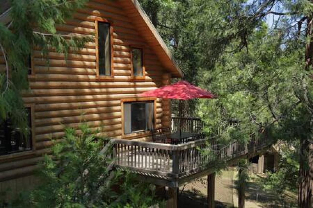 Eagles Nest - Natural Log Cabin With Guest House آيديلوايل المظهر الخارجي الصورة